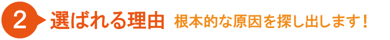 膝痛専門サイト-選ばれる理由-内容2