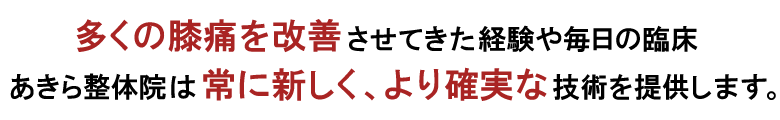 膝痛専門サイト-多くの膝痛改善【ＰＣサイズ】